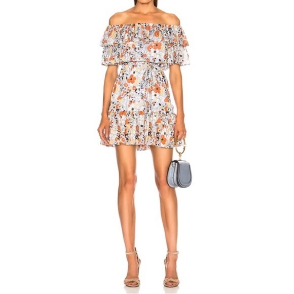 Alexis Floral Ruffle Dress in Vintage Blossom - Picture 4 of 11